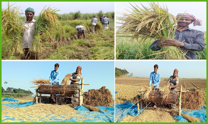 নভেম্বর ১২,২০২৪