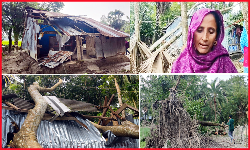 ঘূর্নিঝড় দানা ভারতের উড়িষ্যা উপকূল অতিক্রম করলেও পটুয়াখালীর কলাপাড়ায় এর প্রভাব পড়েছে। উপকূলীয় এলাকায় রেখে গেছে ক্ষত চিহ্ন। ক্ষতিগ্রস্থ হয়েছে বেশ কিছু বসতঘর। উপড়ে পড়েছে অসংখ্য গাছপালা।