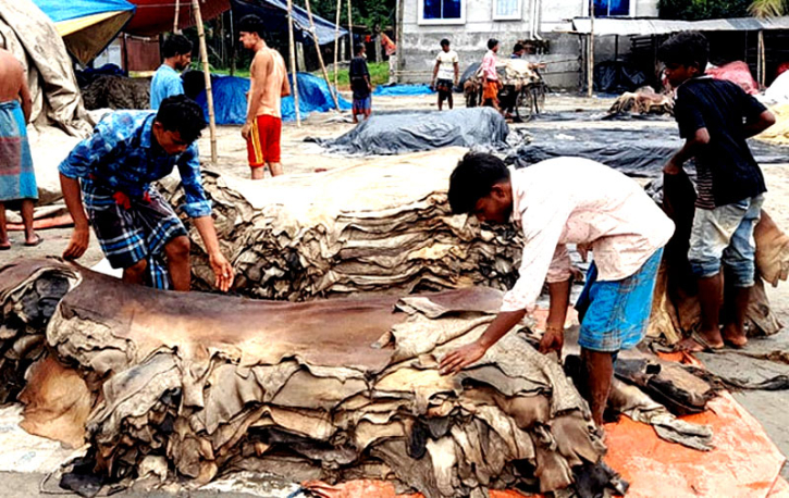 রক্ষণাবেক্ষণ ব্যবস্থা না থাকায় চামড়ার ন্যায্য দাম পাওয়া যাচ্ছে না: ভোক্তার ডিজি 