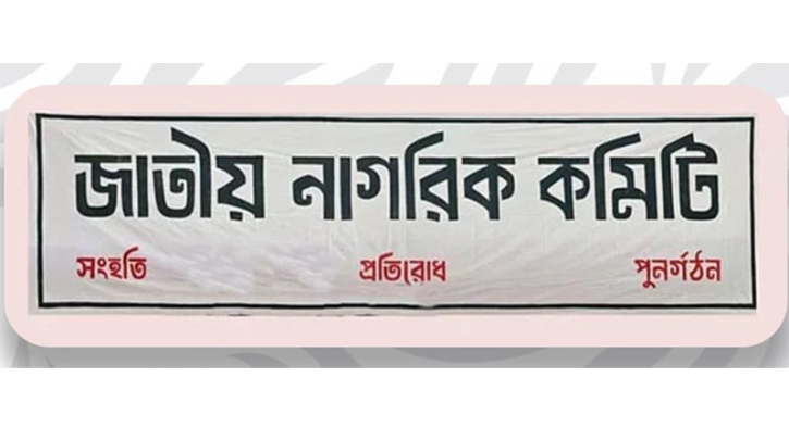 হাসনাত-সারজিসকে ‘হত্যাচেষ্টা’র প্রতিবাদে নাগরিক কমিটির বিক্ষোভ